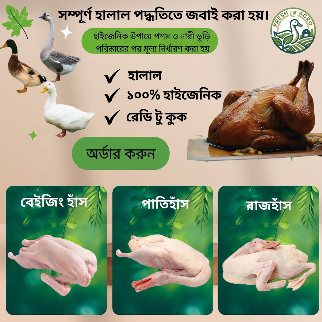 image.png_202605052037