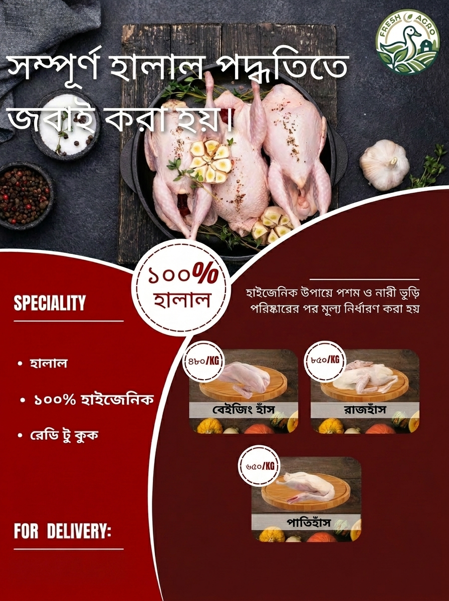 image.png_202605052059